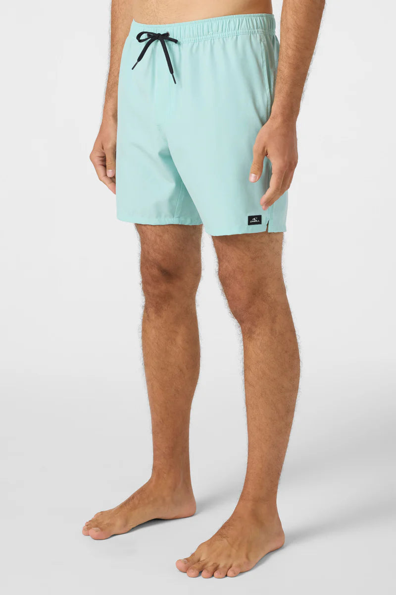 O’Neill Lennox Hermosa Badehose – Herren – 17″